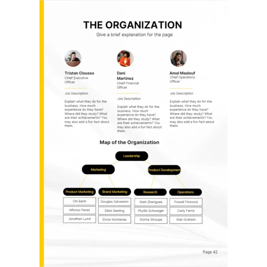 Venture Capital Business Plan - The Organization