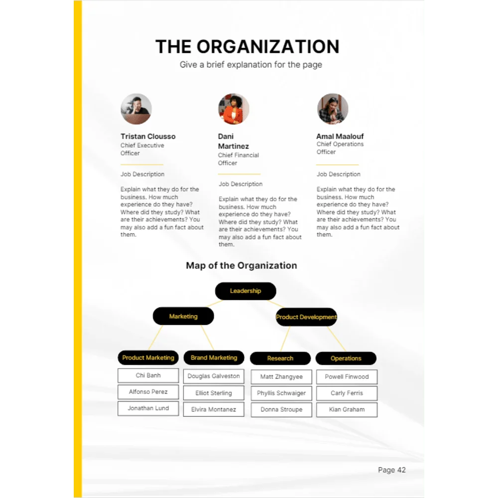 Venture Capital Business Plan - The Organization
