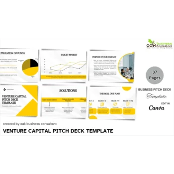 Venture Capital Pitch Deck - Company Summary - FI