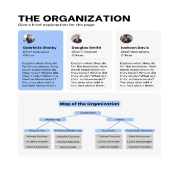 Dental Practice Business Plan-The Organization