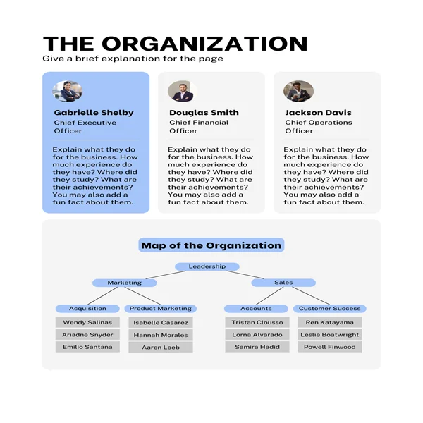 Dental Practice Business Plan-The Organization