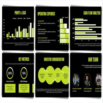 Employment Placement Agency Pitch Deck - Profit and Loss - FI