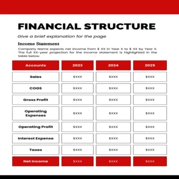 Telemedicine Business Plan-Income Statement