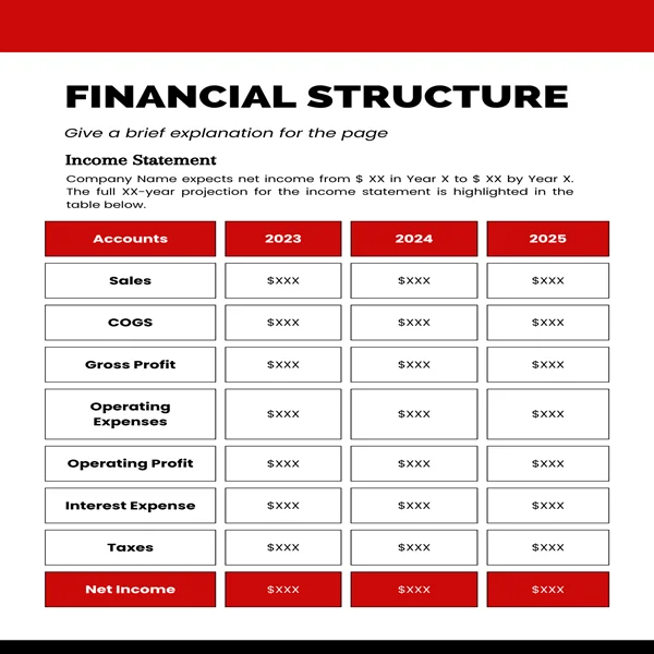 Telemedicine Business Plan-Income Statement