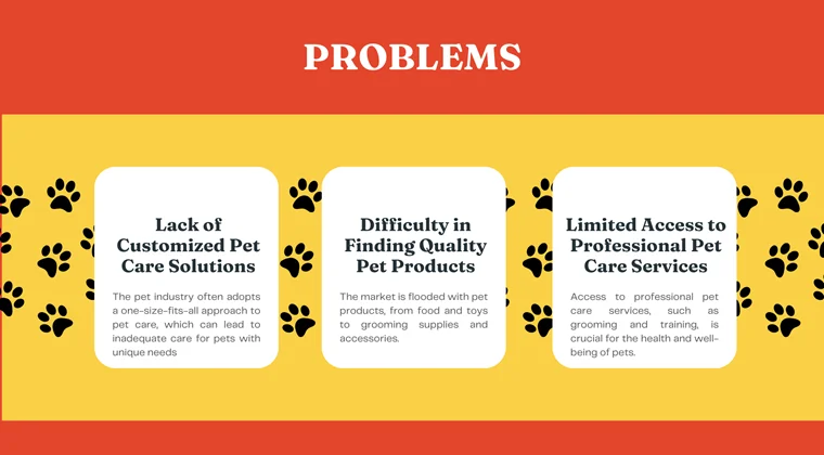 Pet Store Pitch Deck-Problems