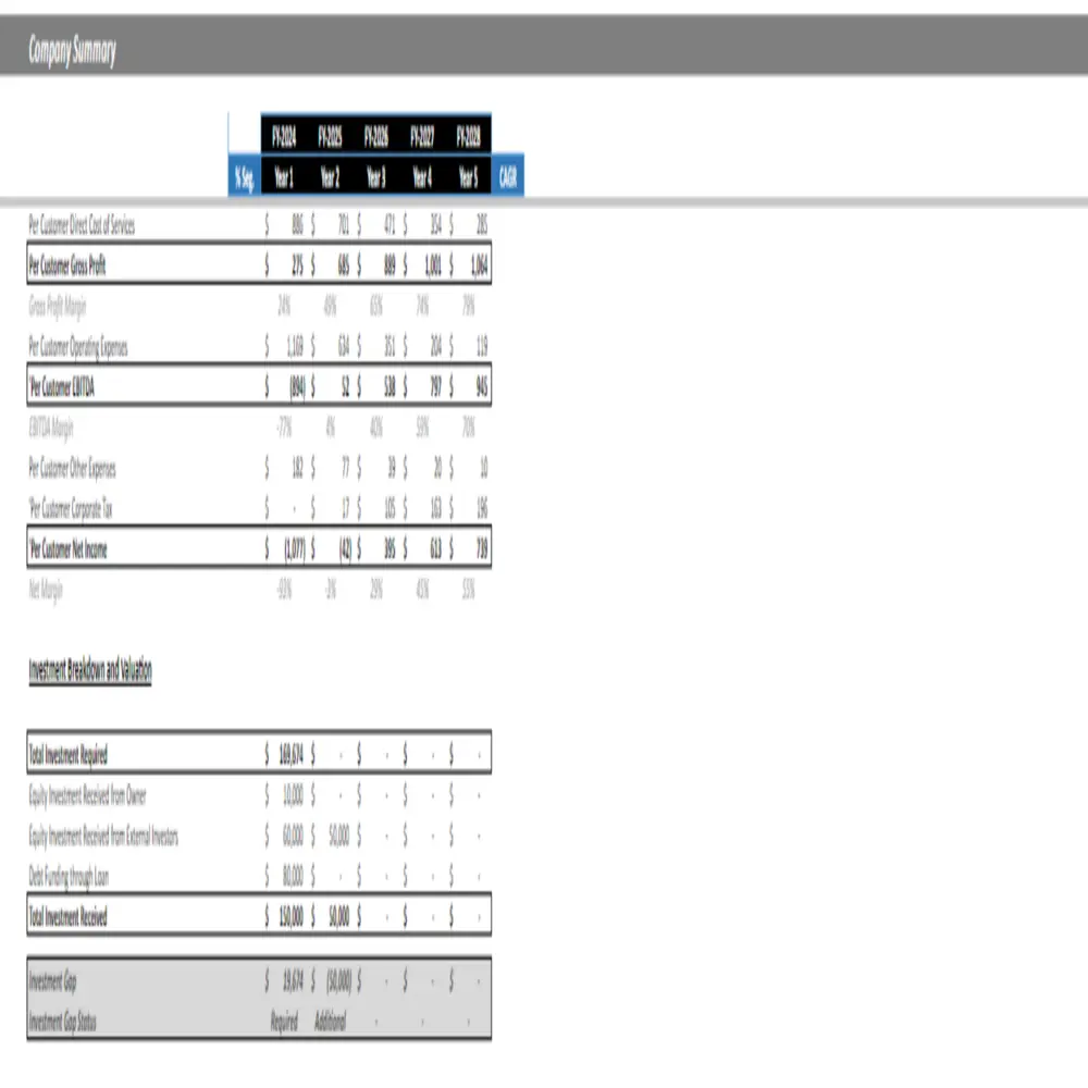 Company Summary
