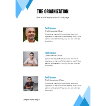 Longevity Medical Clinic Business Plan - The Organization