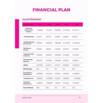 Blo Blow Dry Bar Franchise Business Plan - Financial Plan Income Statement