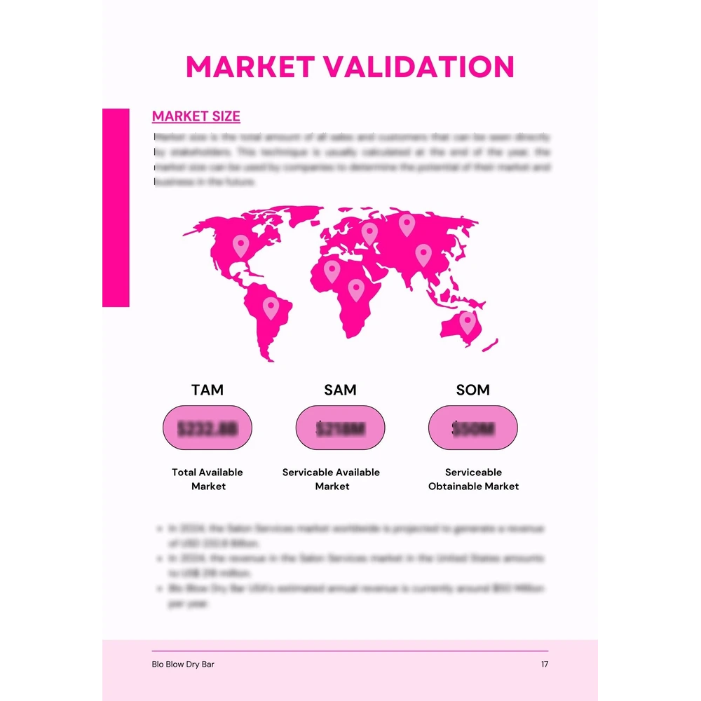 Blo Blow Dry Bar Franchise Business Plan - Market Validation