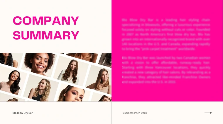 Company Summary