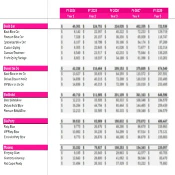 Blo Blow Dry Bar Franchise - Revenue Analysis