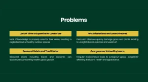 Lawn Service Business Pitch Deck - Problems
