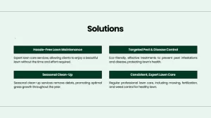 Lawn Service Business Pitch Deck - Solutions