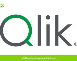 qlik