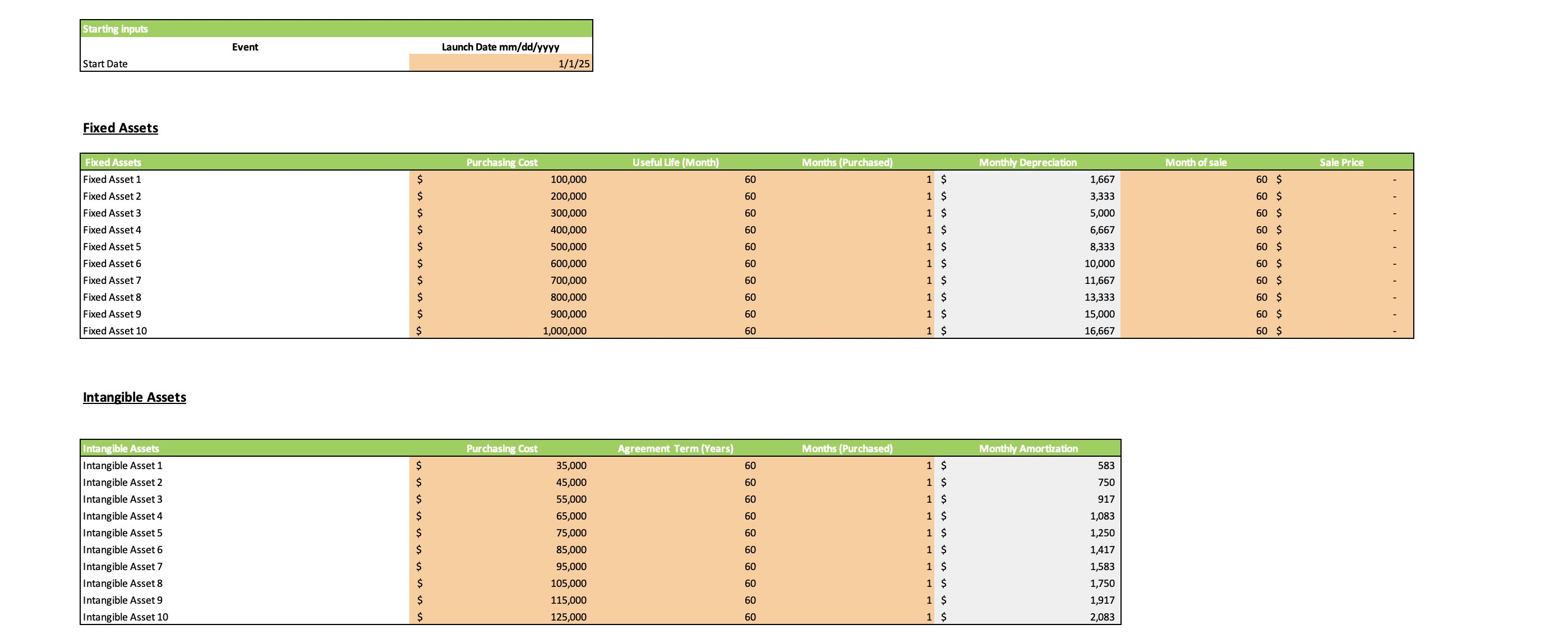Amortization and Depreciation Schedule Template - Input Sheet