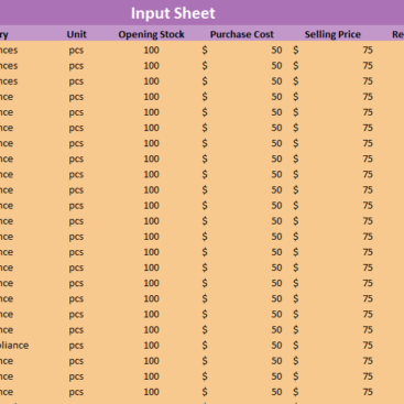 Inventory and COGS Spreadsheet - Input Sheet